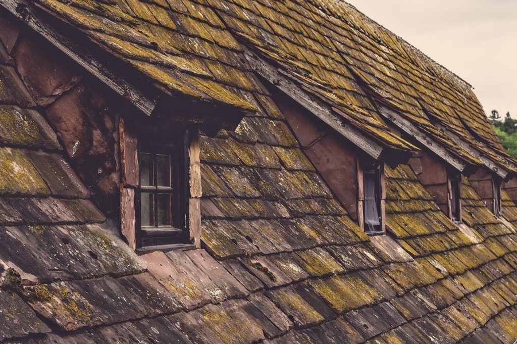 moss on roof