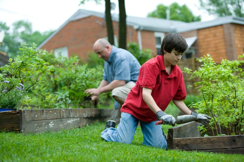 gardening